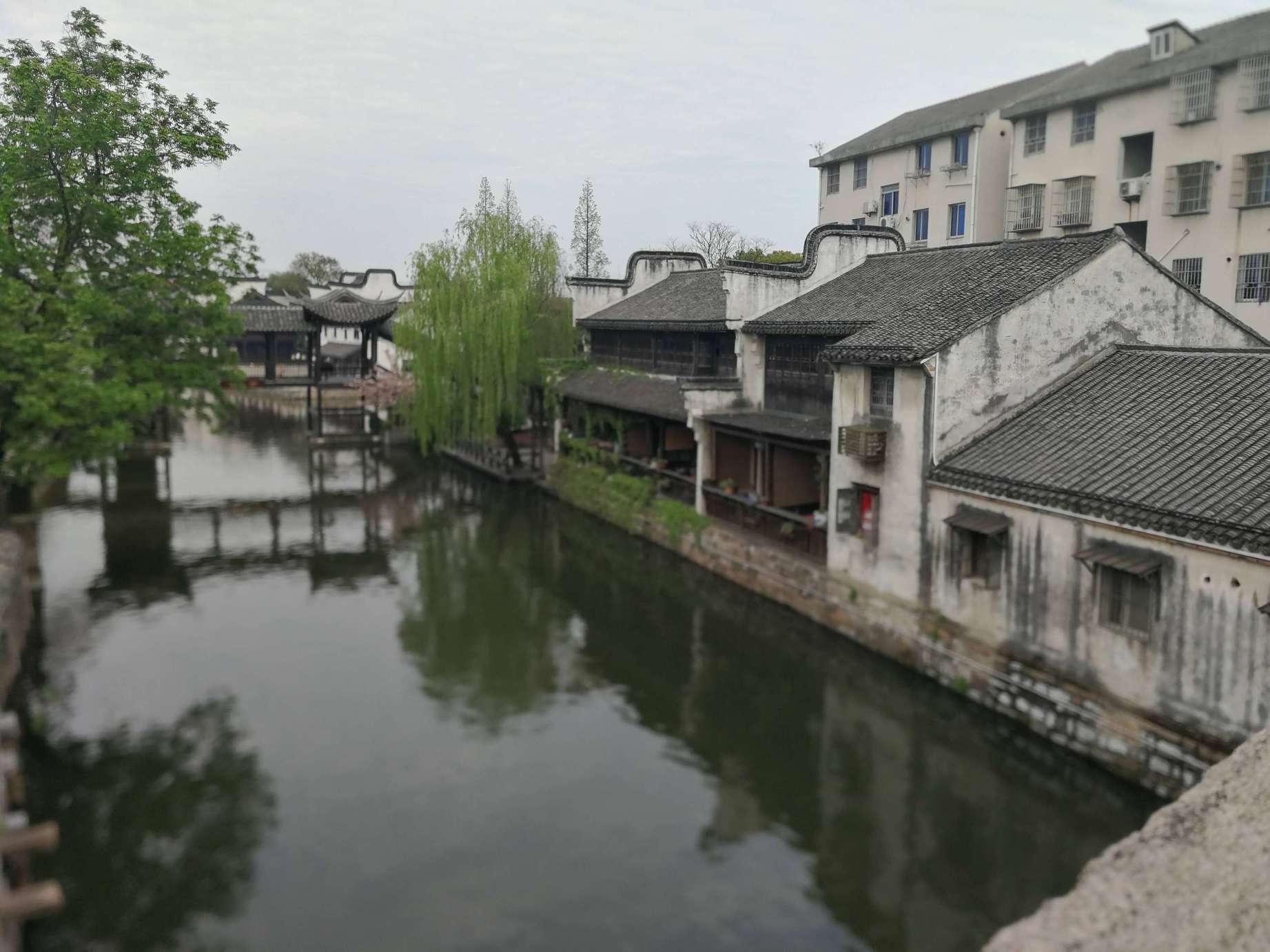 逗小猴开心系列205